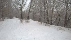 WP_20180218_09_51_46_Pro.jpg