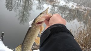 WP_20180218_10_53_04_Pro.jpg