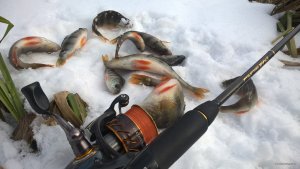 WP_20180218_14_51_29_Pro.jpg