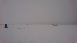 DSC_0508.JPG