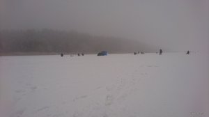 DSC_0509.JPG
