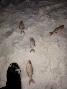 20180217_172459.jpg