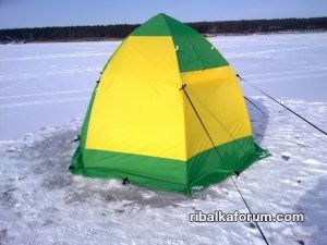 39113b26f52b[3].jpg