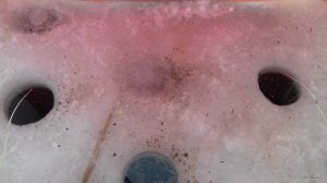 20180219_103701.jpg