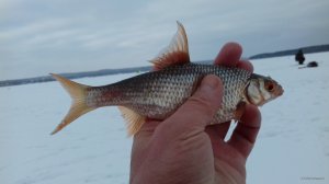 20180219_152534.jpg