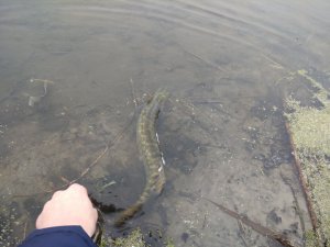 IMG_20180218_093737.jpg