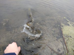 IMG_20180218_093737_1.jpg