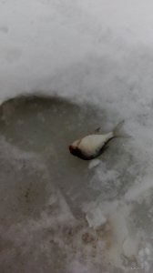 DSC_0012.JPG