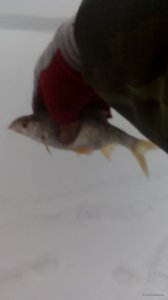 DSC_0013.JPG