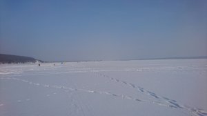 DSC_0524.JPG