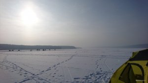 DSC_0525.JPG