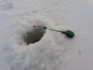 20180222_070118.jpg