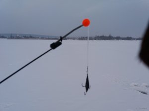 20180222_065604.jpg