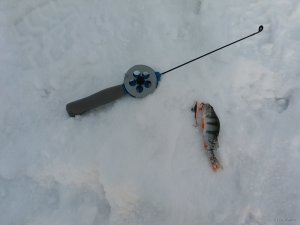 20180222_083845.jpg