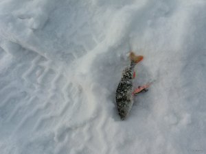 20180222_084451.jpg