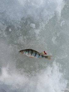 20180222_091745.jpg