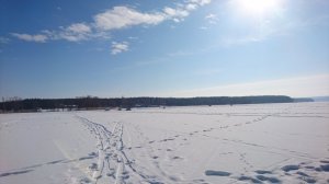 DSC_0529.JPG