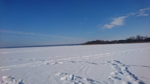DSC_0530.JPG