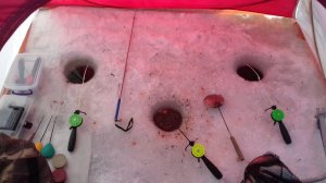 20180223_113758.jpg