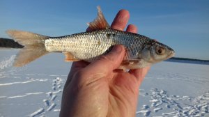 20180223_153527.jpg