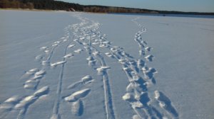 20180223_155220.jpg