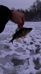 20161204_121417.jpg