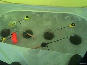 IMG_20180224_095226_547.jpg