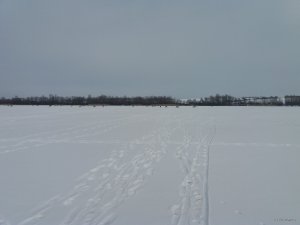 20180224_124802.jpg