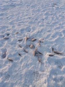 20180224_161804.jpg