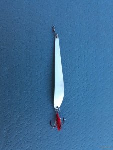 20180224_151139.jpg