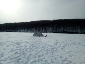 IMG_20180224_141148.jpg