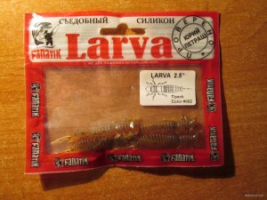 IMG_2345.JPG