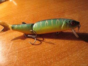 IMG_2354.JPG