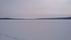 IMG_20180224_114833.jpg