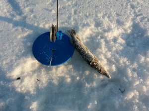 20180224_160724.jpg