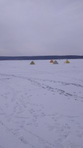 IMG_2018-02-24_110039.jpg