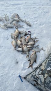 IMG_2018-02-24_150711.jpg