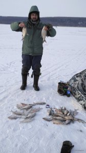 IMG_2018-02-24_150830.jpg