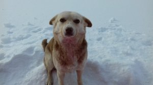 20180227_085056.jpg