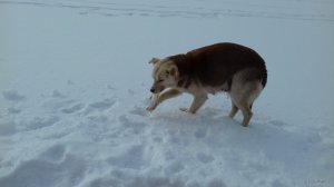 20180227_085203.jpg