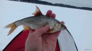 20180227_154245.jpg