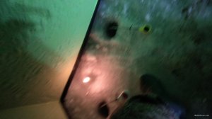 IMG_20180223_233015.jpg