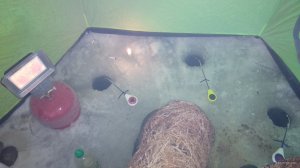 IMG_20180223_233025.jpg