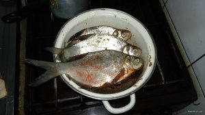 IMG_20180224_110744.jpg
