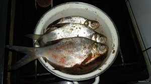IMG_20180224_110753.jpg