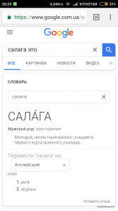 Screenshot_2018-02-28-20-29-57-683_com.android.chrome.png
