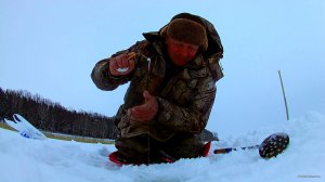 vlcsnap-2018-02-28-20h11m15s76.jpg