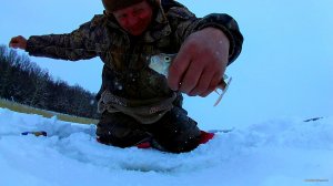 vlcsnap-2018-02-28-20h18m29s170.jpg