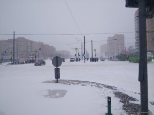 IMG_20180301_081548.jpg