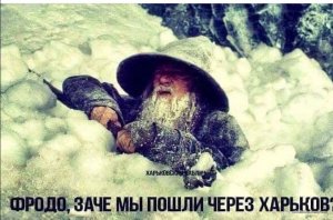 IMG-9dfe5bbea2d1fc22e3d95676d073837f-V.jpg